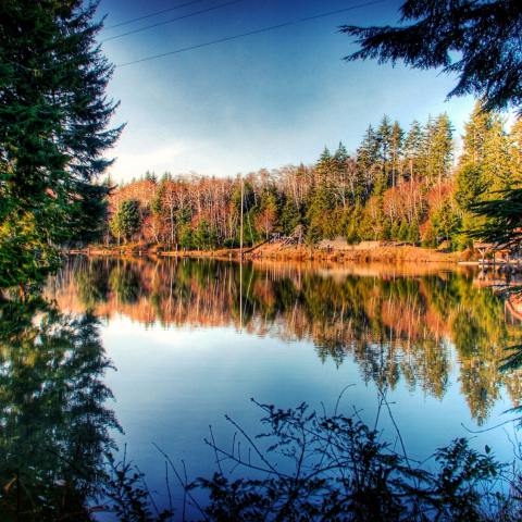 A scenic view of a lake in Warrenton from High Life Adventures